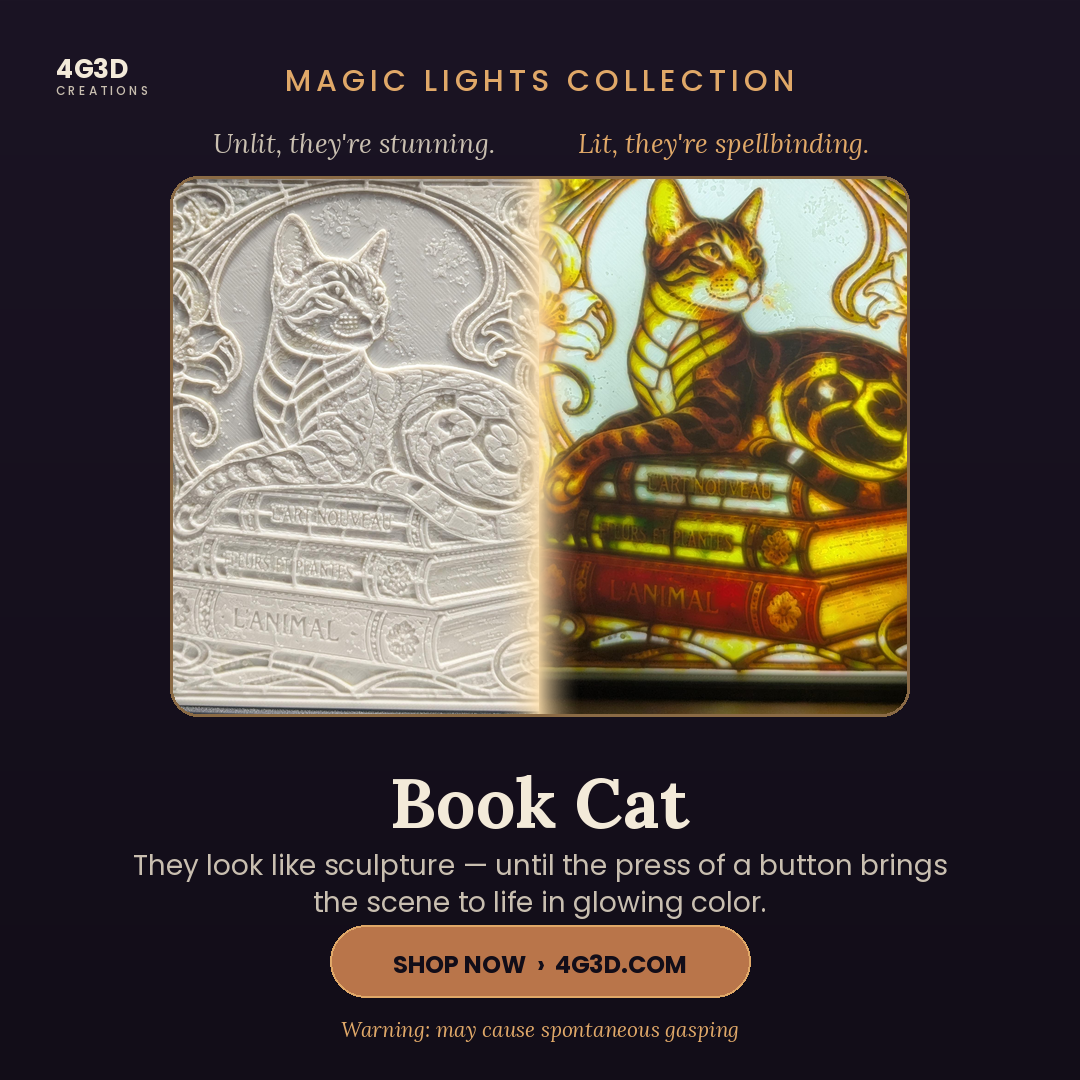 Book Cat Magic Light
