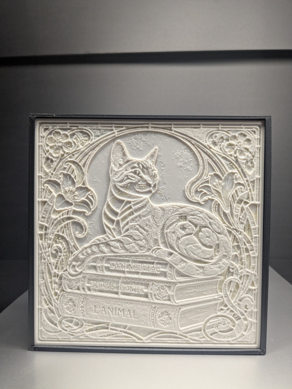 Book Cat Magic Light