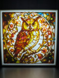 Owl Magic Light