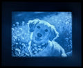 Custom Photo Light